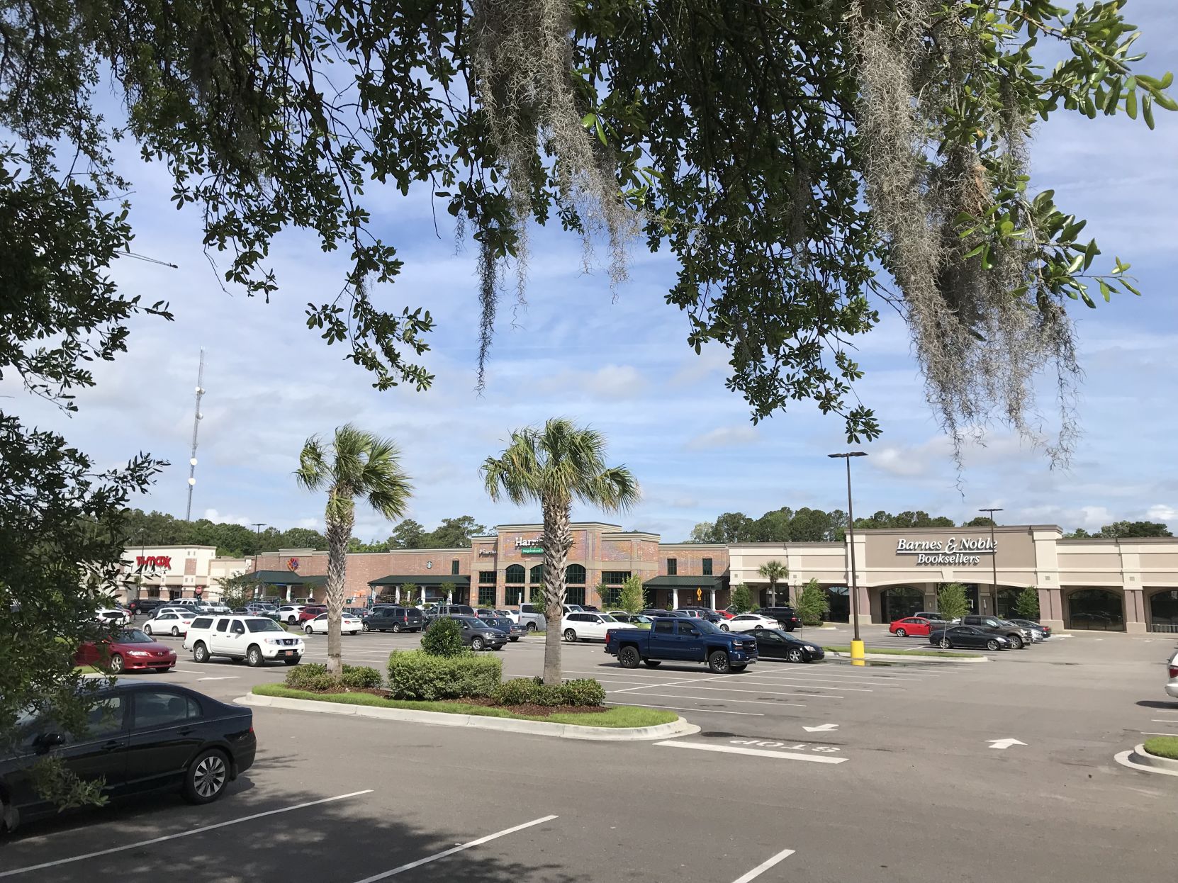 Westwood Plaza wide view from under tree